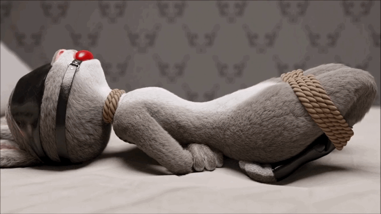 Judy Hopps expanding sexual experiences