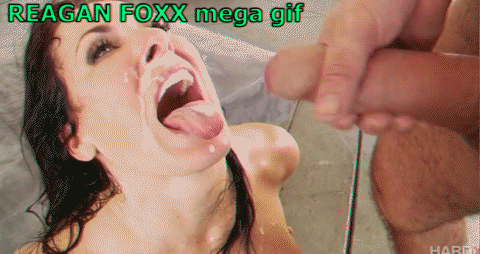 REAGAN FOXX mega gif