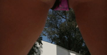Gif - Alexis Texas is one of the GOATs