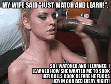 Gif - hotwife humiliate her cuckold-husband while she worship black cock captions