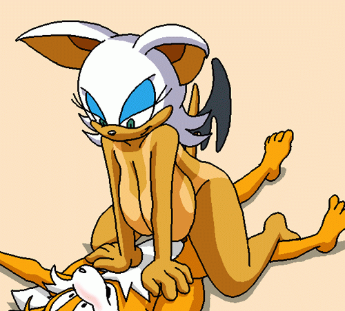Gif - Tails and Rouge having fun