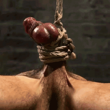 Gif - Click here for more gay kink: