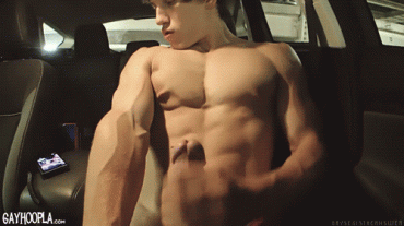Gif - jerking off in the car