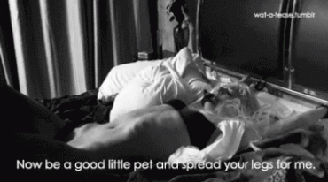 Gif - Playtime with my pet