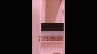 Gif - Amanda Seyfried - Hot Ass Bathroom Selfie!