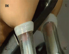 Gif - Let the milking commence......
