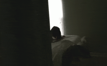 Gif - My mom and my best friend don't stop fucking #1