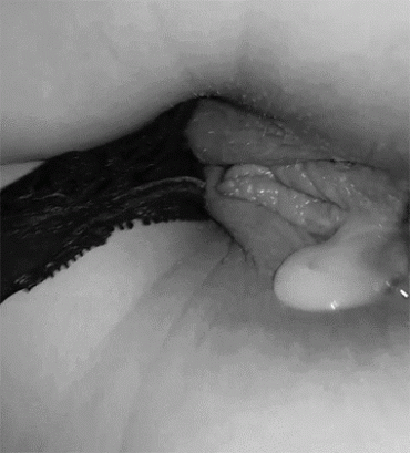 Gif - Our lucky lady here had her panties pulled aside for a healthy insemination by her man! His thick and creamy cum is sure to impregnate her!