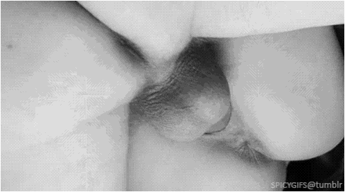 Gif - Thick cock fucks tight pussy