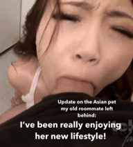 Gif - You can’t tell me Asians don’t make great pets until you’ve had one swallowing 5 of your loads every day and night on command