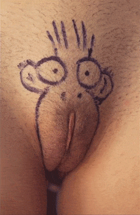 Gif - Monkey drawn on her pussy